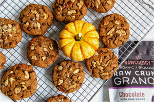 Pumpkin Cookies